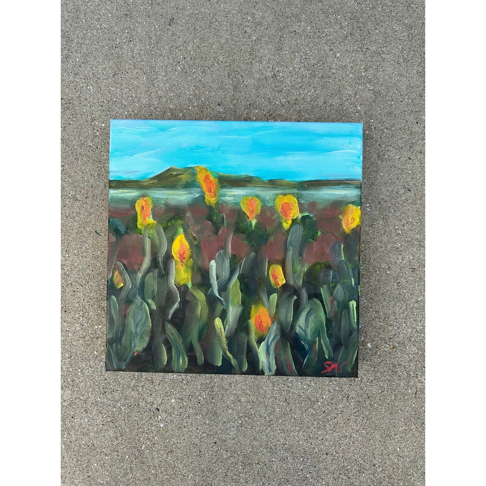'Applauding the Sun, Part II' 12X12 Inches, Oil on Gallery Wrapped Canvas