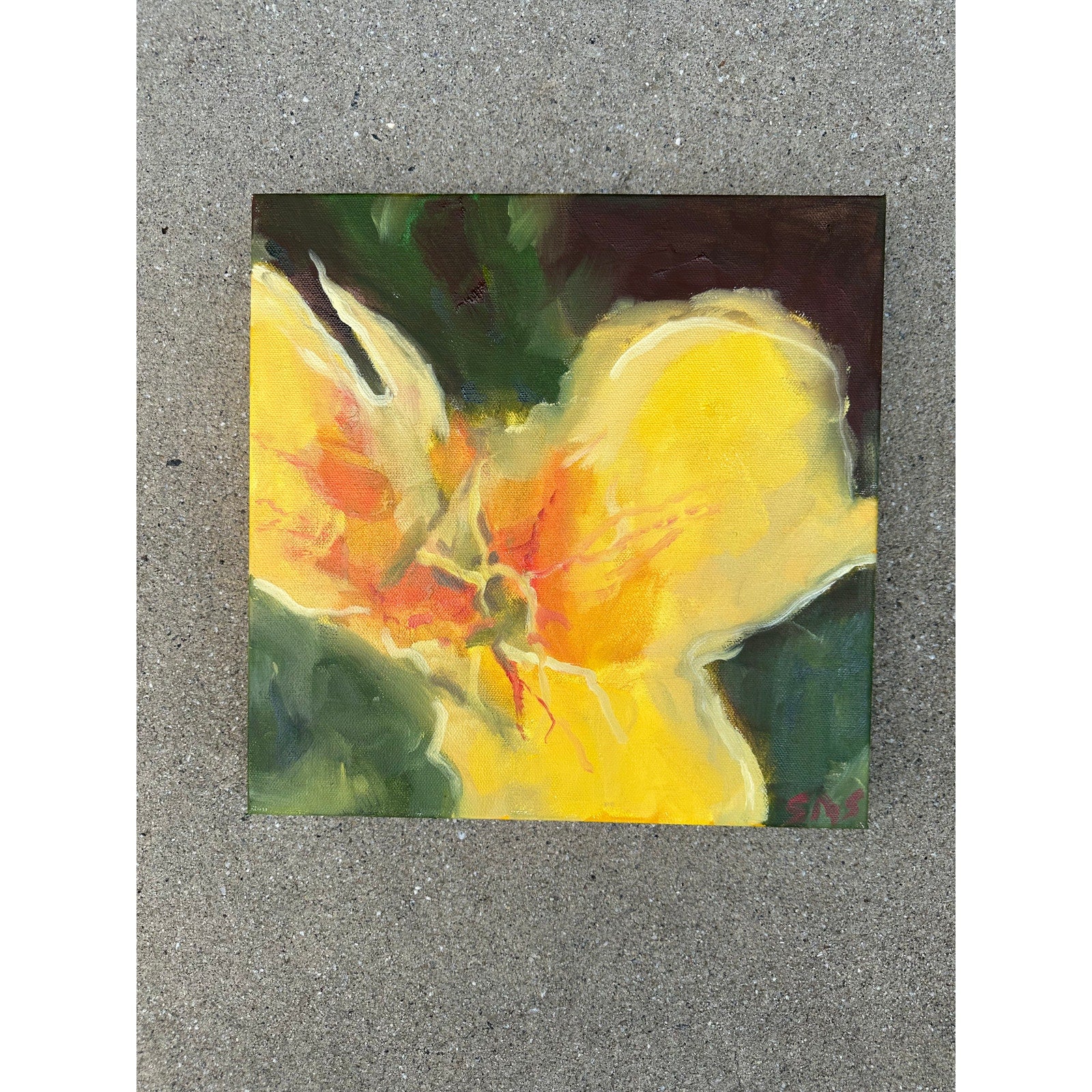 Original Oil Painting 'Applauding the Sun, Part IV' 12x12 inches on Gallery-wrapped Canvas