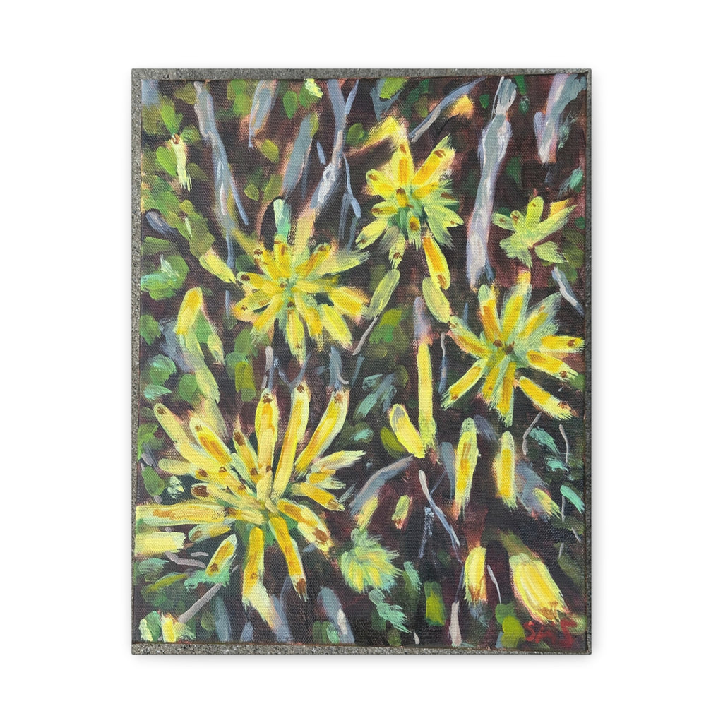 Yellow Fireworks Flowers Canvas Print - Matte Stretched Wall Art