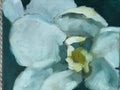 Magnolia Study #1