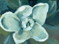 Magnolia Study #2