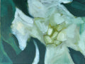 Magnolia Study #3