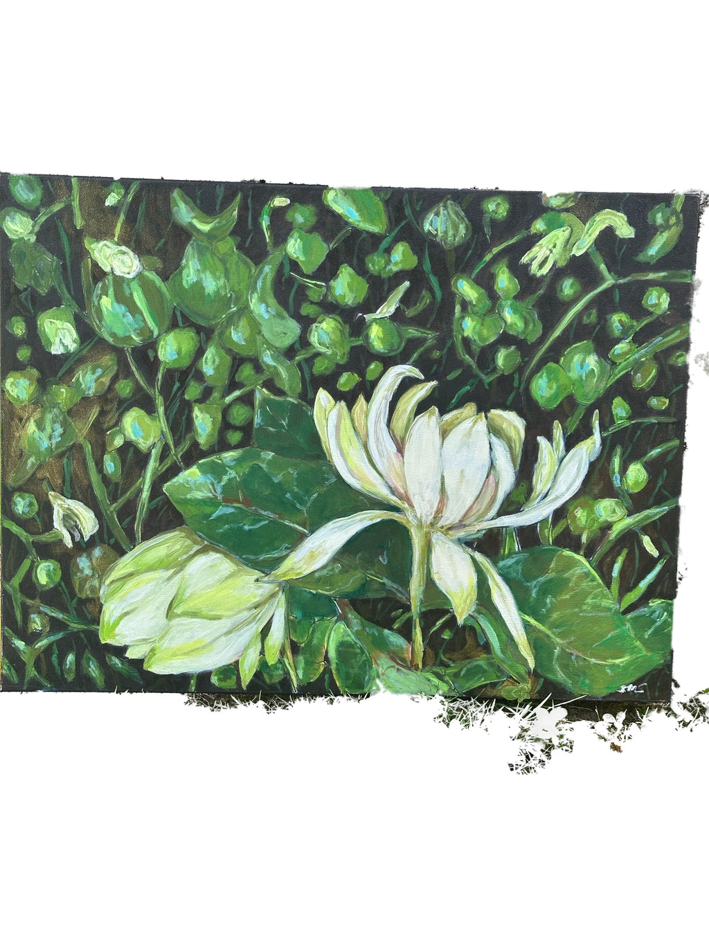 Original Oil Painting 'Forest Swamp Beauty' 18X24 inches on Canvas