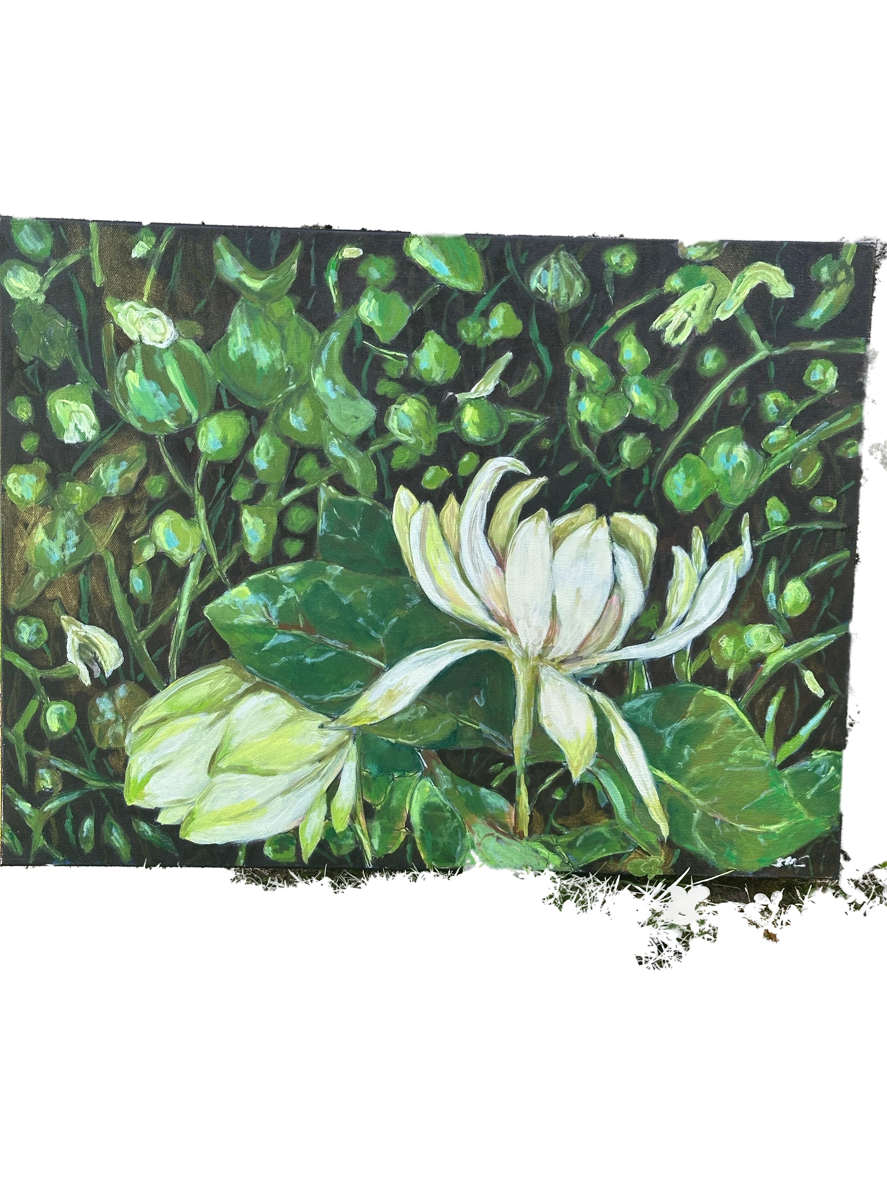 Original Oil Painting 'Forest Swamp Beauty' 18X24 inches on Canvas