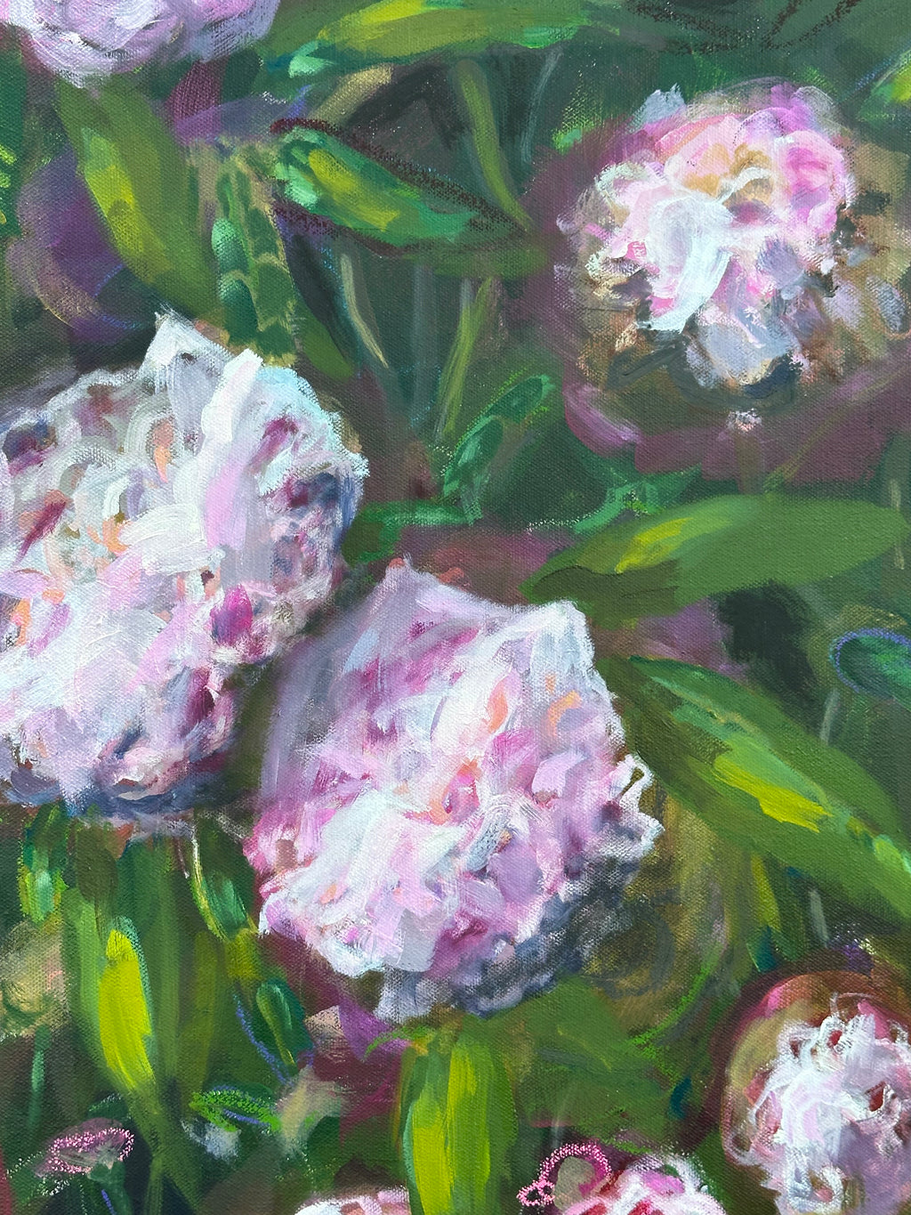 Rhododendron's Folly