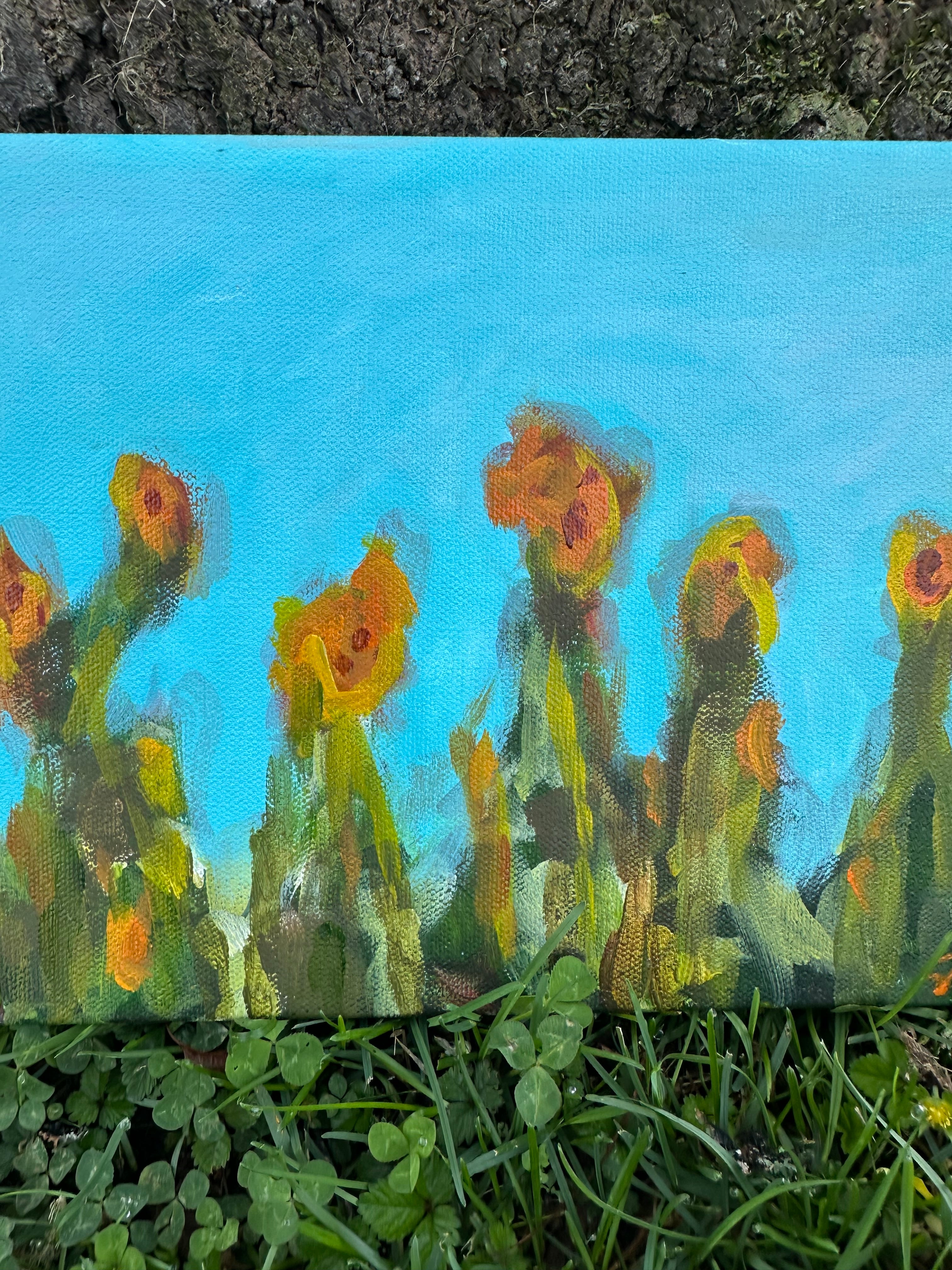 Original Oil Painting on Gallery Wrapped Canvas 'Lilies Sunning on Lake Sinclair #1' 8X10 inches