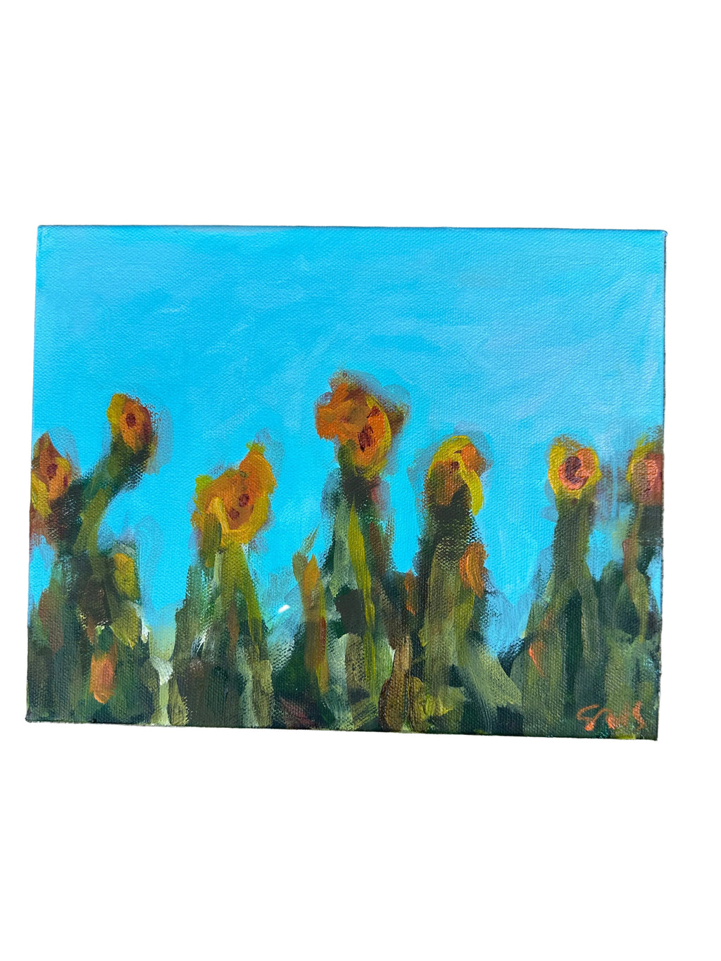 Original Oil Painting on Gallery Wrapped Canvas 'Lilies Sunning on Lake Sinclair #1' 8X10 inches