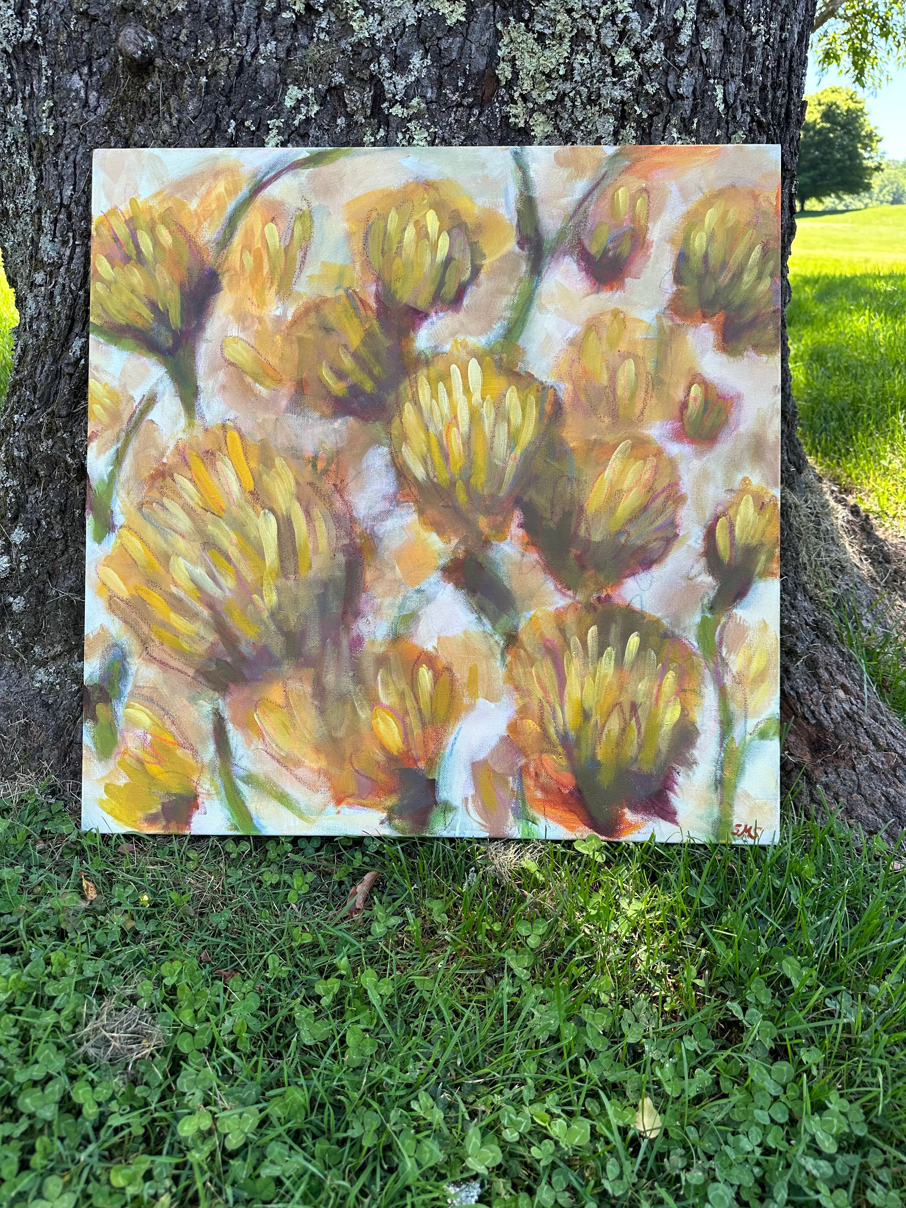 Original Oil Painting of Yellow Football Mums, 24 X 24 Inches