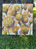 Original Oil Painting of Yellow Football Mums, 24 X 24 Inches