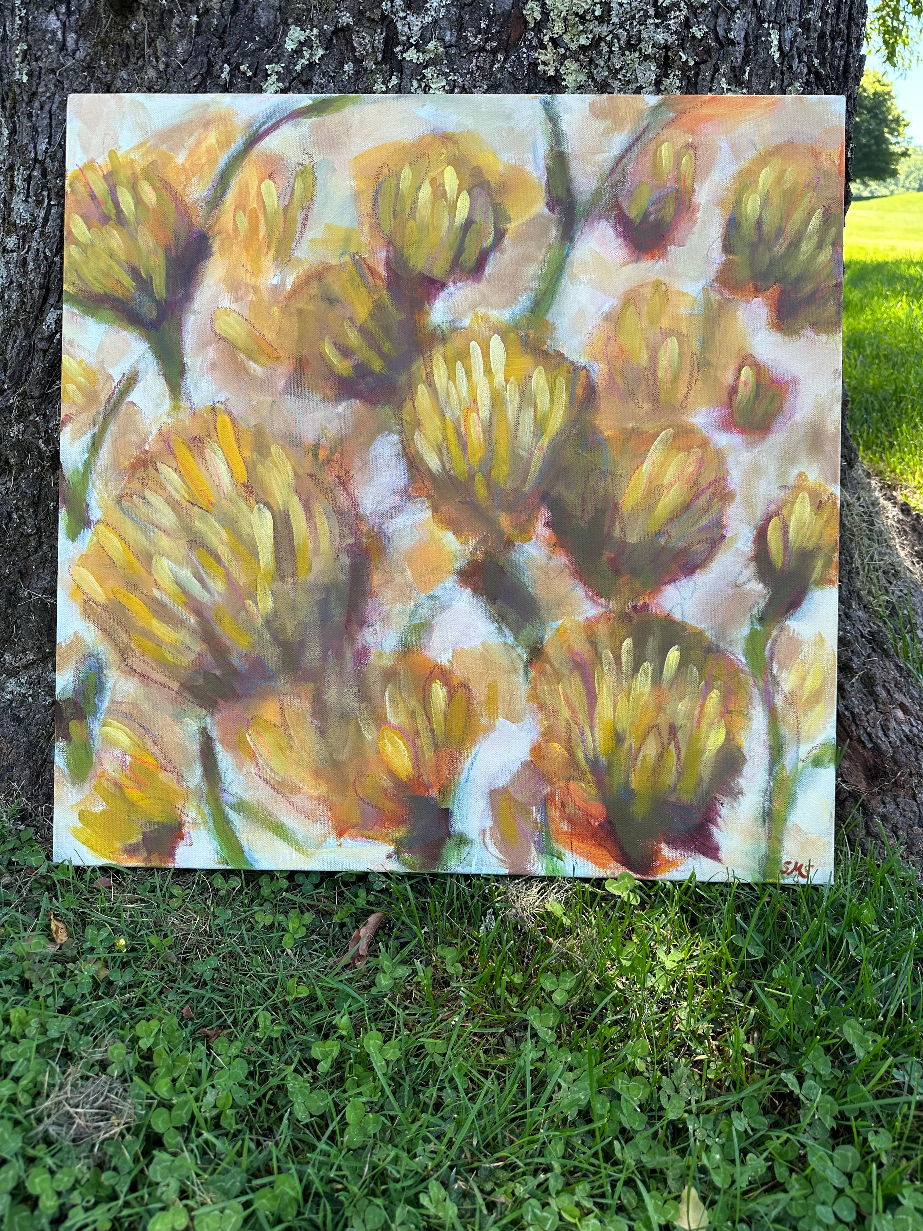 Original Oil Painting of Yellow Football Mums, 24 X 24 Inches