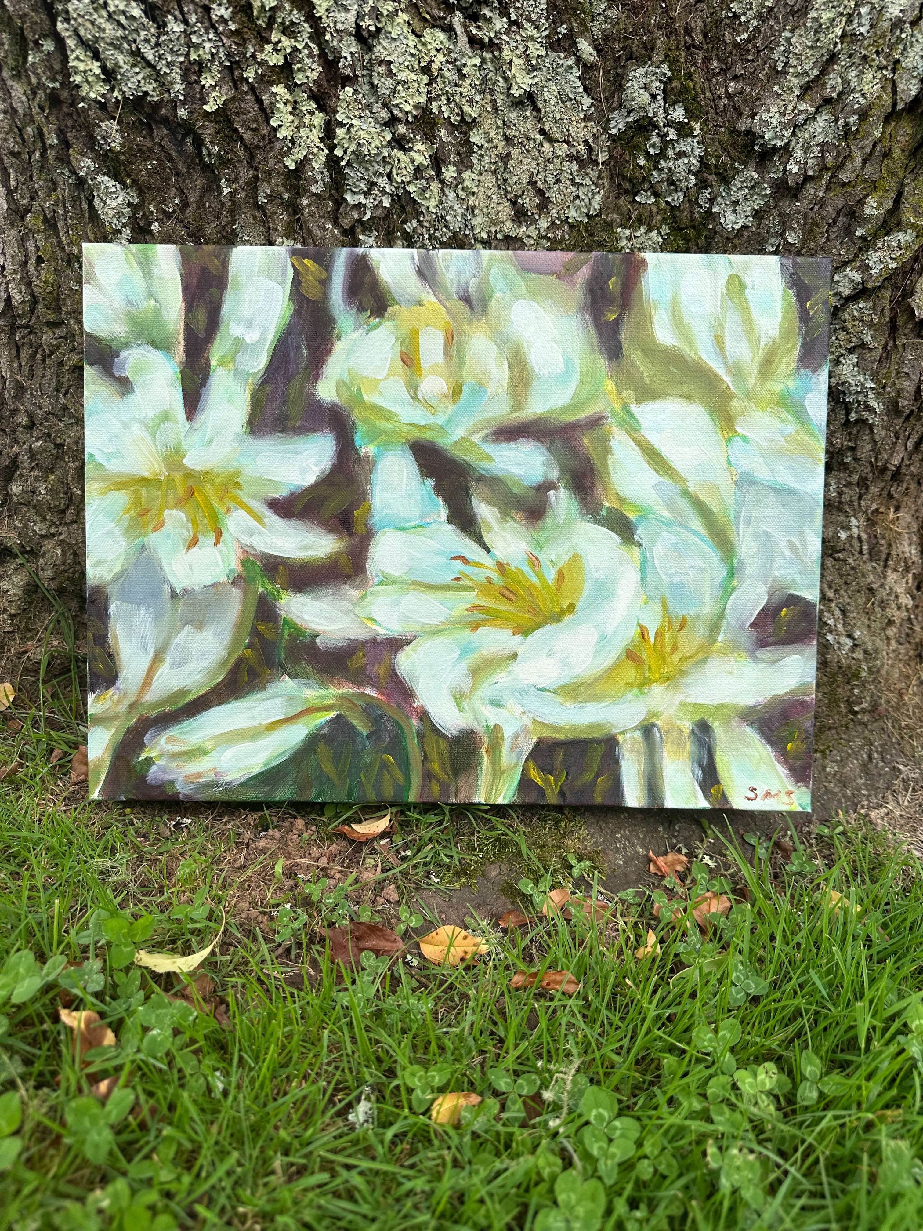 Original Oil Painting on Canvas 'Casablanca Lilies Study #2' 12X16 inches
