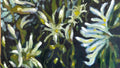 Stokesias Study #1 Oil on Canvas 18X24 inches