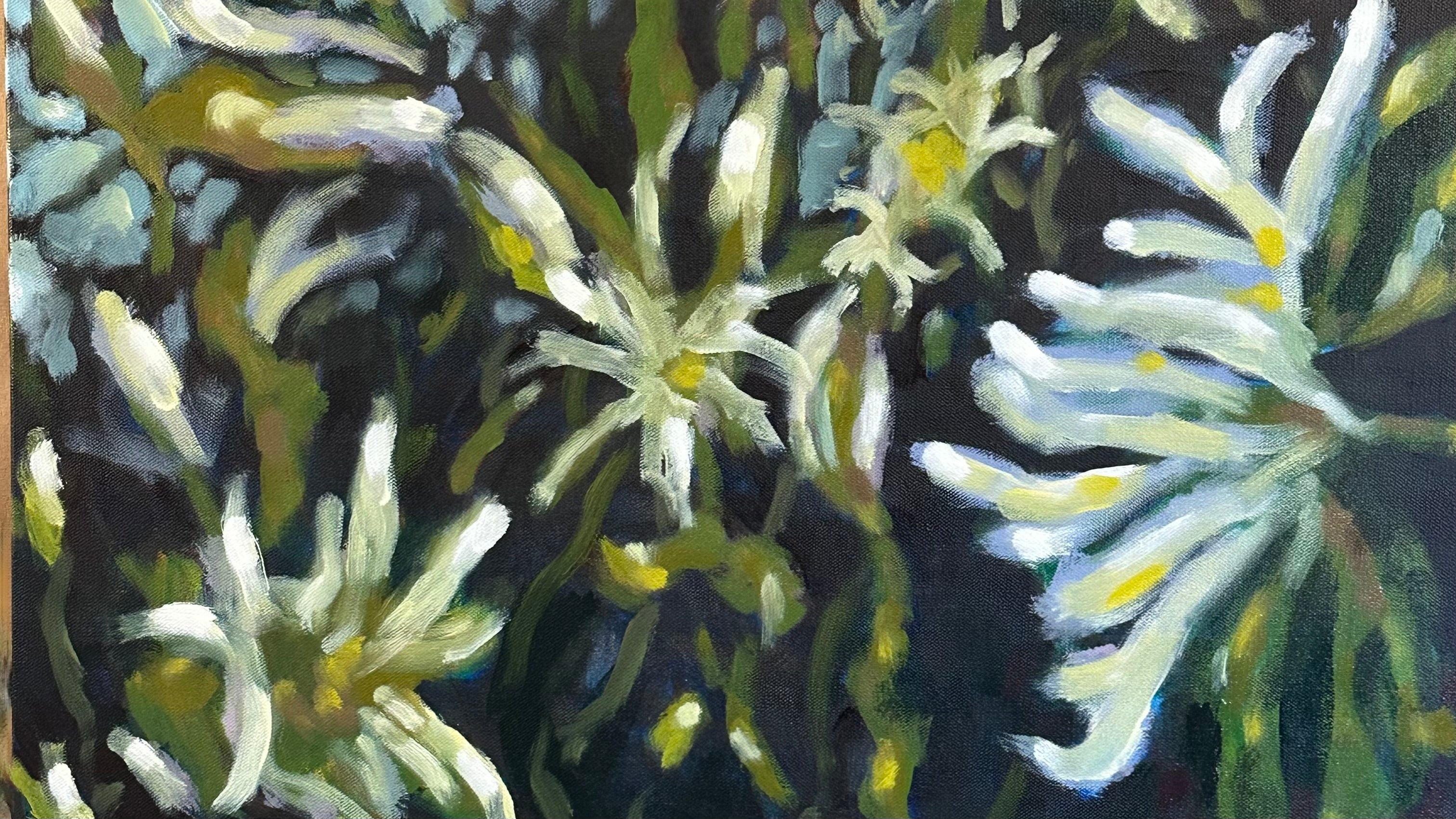Stokesias Study #1 Oil on Canvas 18X24 inches